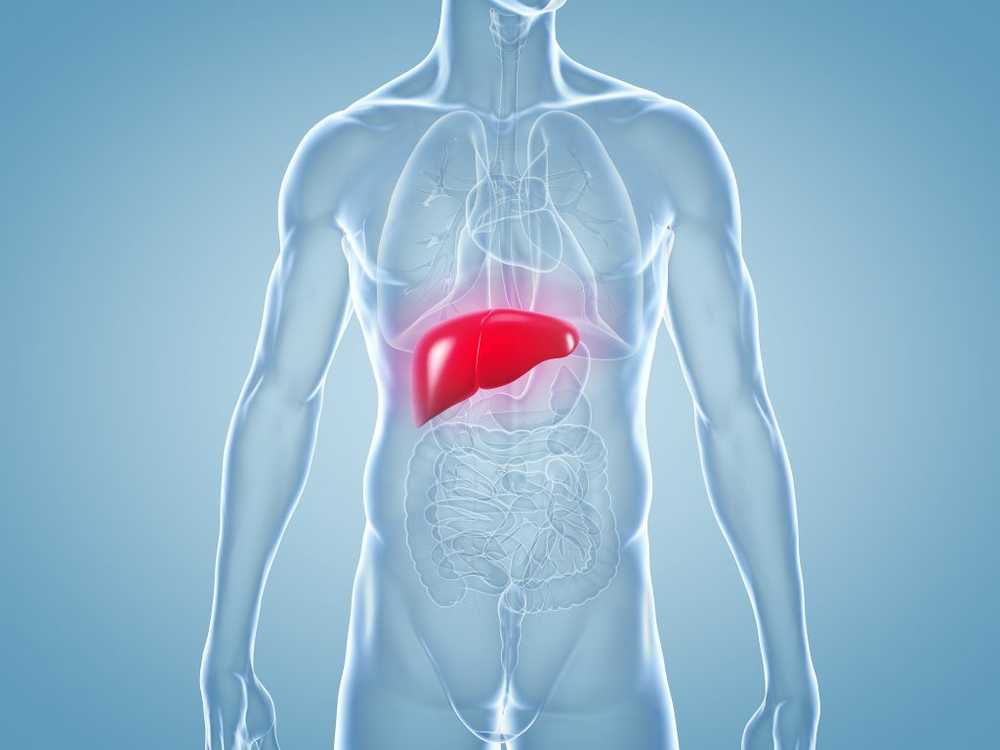 Health burden So the liver survives the annual Christmas / Health News