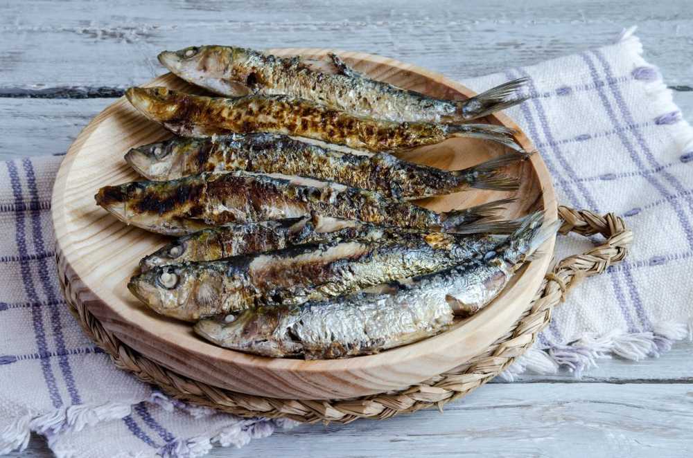 Health risk in consumption Warning of dried fish products / Health News