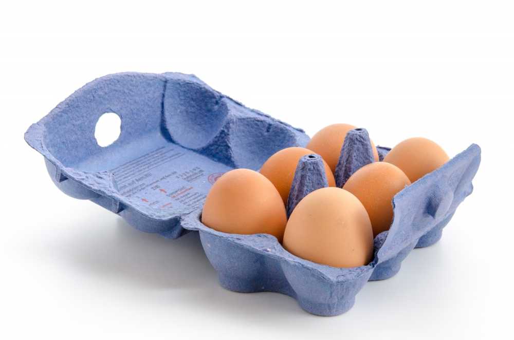 Health risk Dispose of egg cartons after a single use / Health News