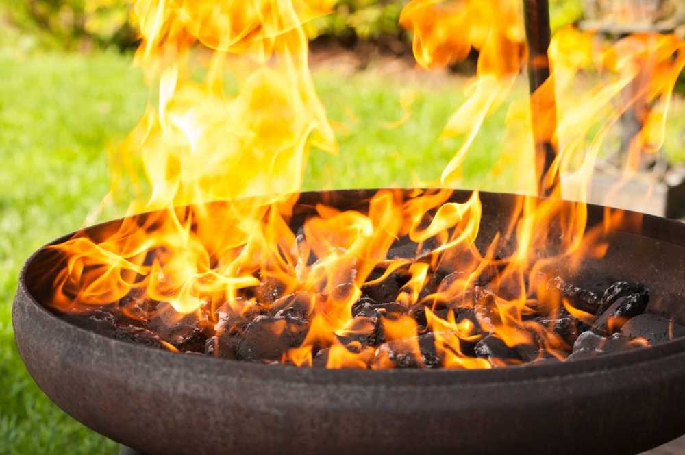 Barbecue accidents with young children expert warns of fire accelerator / Health News