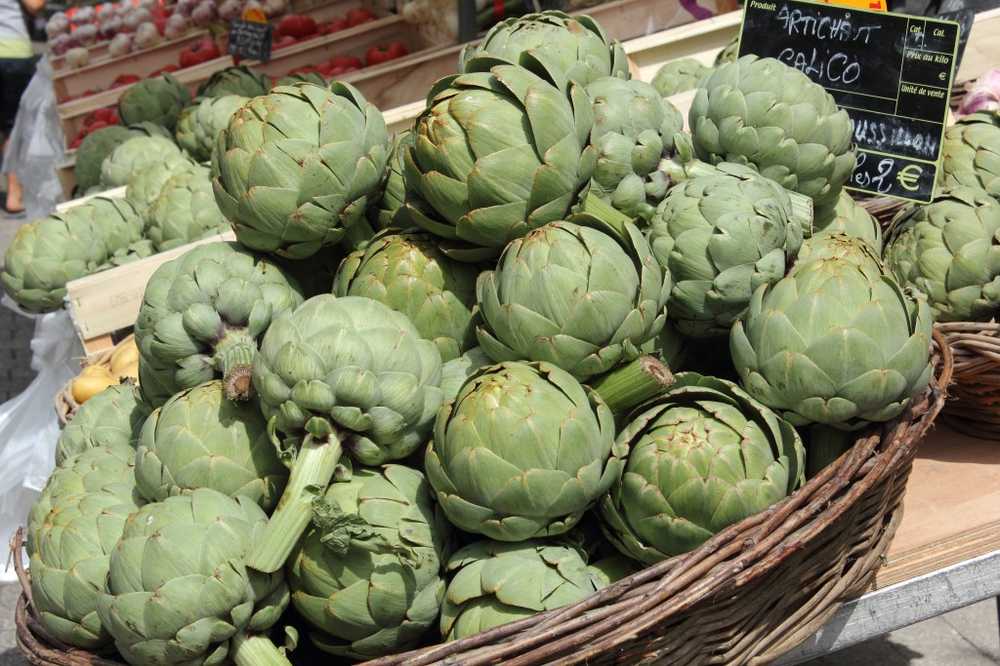 Green artichokes can promote digestion and lower cholesterol / Health News