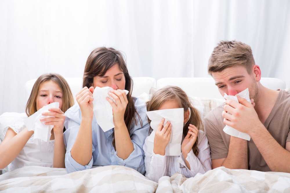 Home remedies for a cold - that can work / 