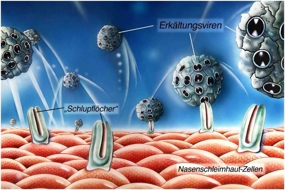 Hjem rette for nasal mucosal betennelse / 