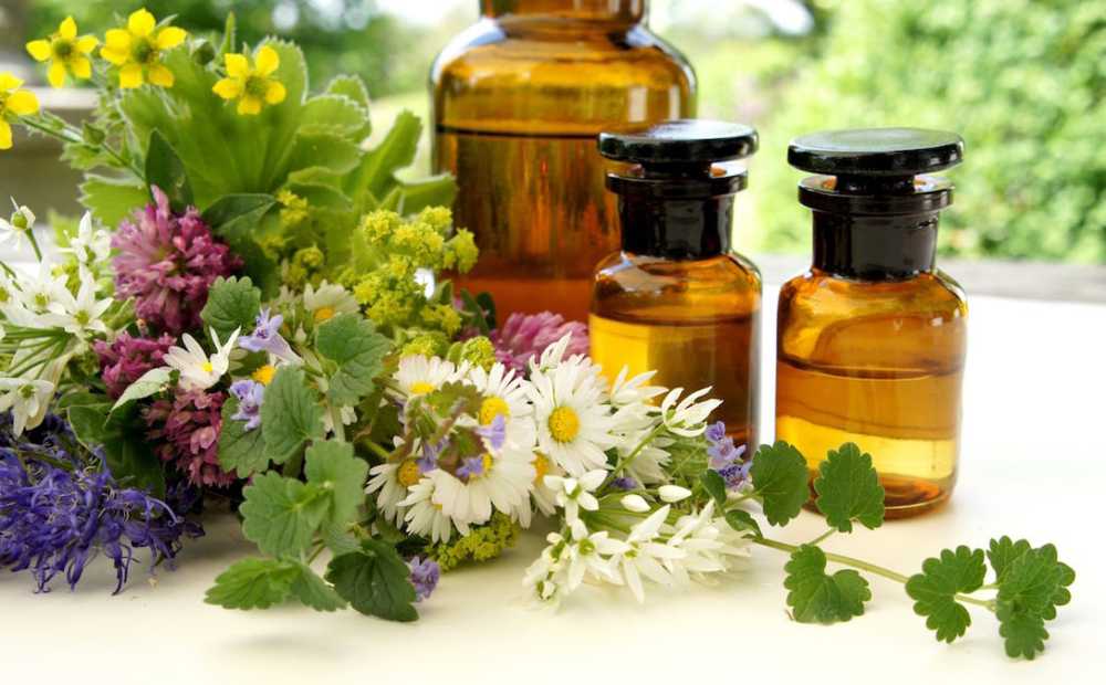 Medicinal plants as medicine