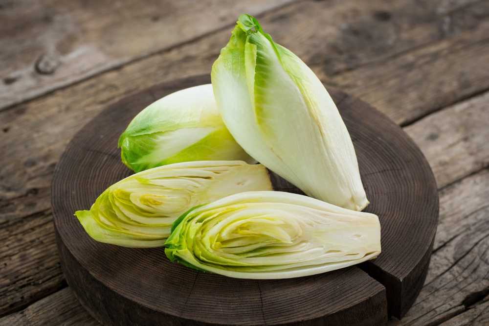 Légumes d'automne Les endives saines sont stables dans le réfrigérateur pendant quelques jours / Nouvelles sur la santé