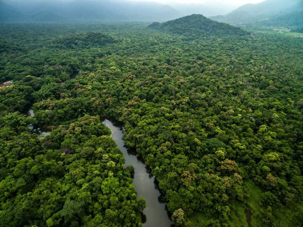 Kardiovaskulärt system Amazonas aboriginer med världens hälsosamma artärer / Hälsa nyheter