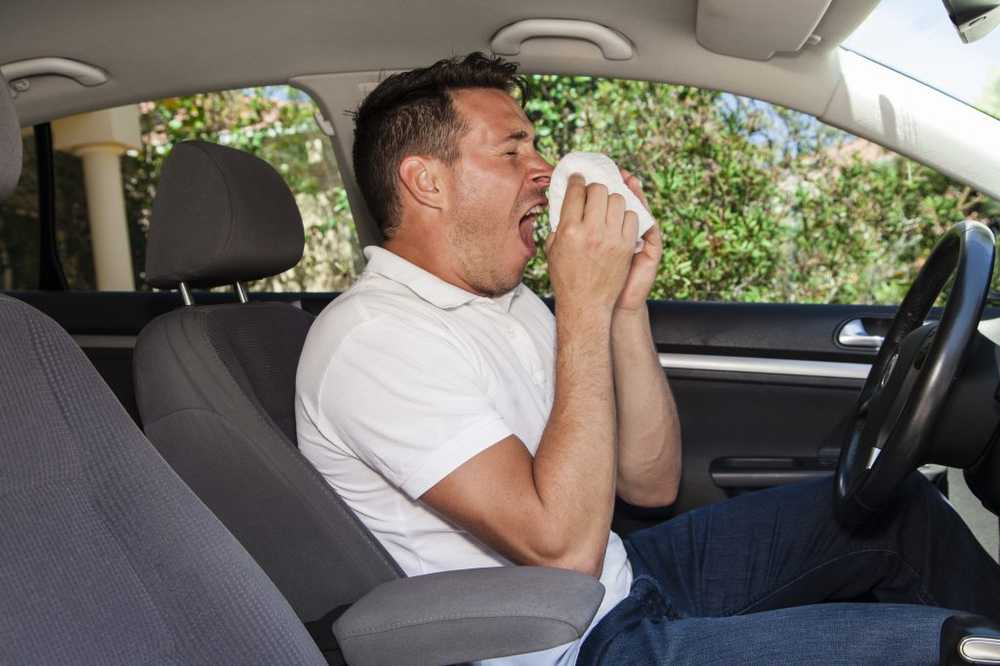 Hay fever in pollen allergy first to the doctor - then behind the wheel / Health News