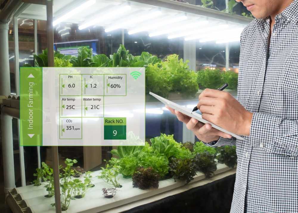 Hightech groenten uit de stad produceren voedsel waar het wordt geconsumeerd / Gezondheid nieuws