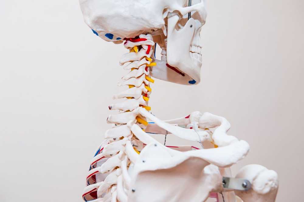 Síndrome de la columna cervical Causas comunes, síntomas y tratamiento / enfermedades