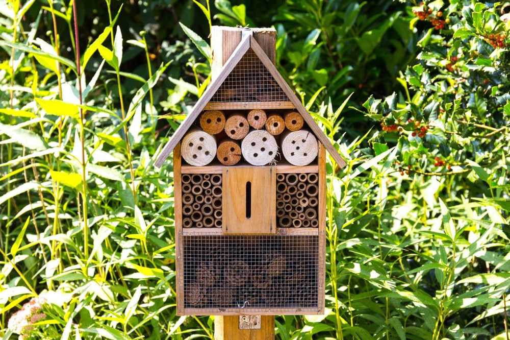 Insect hotel - use, material, construction instructions and valuable tips