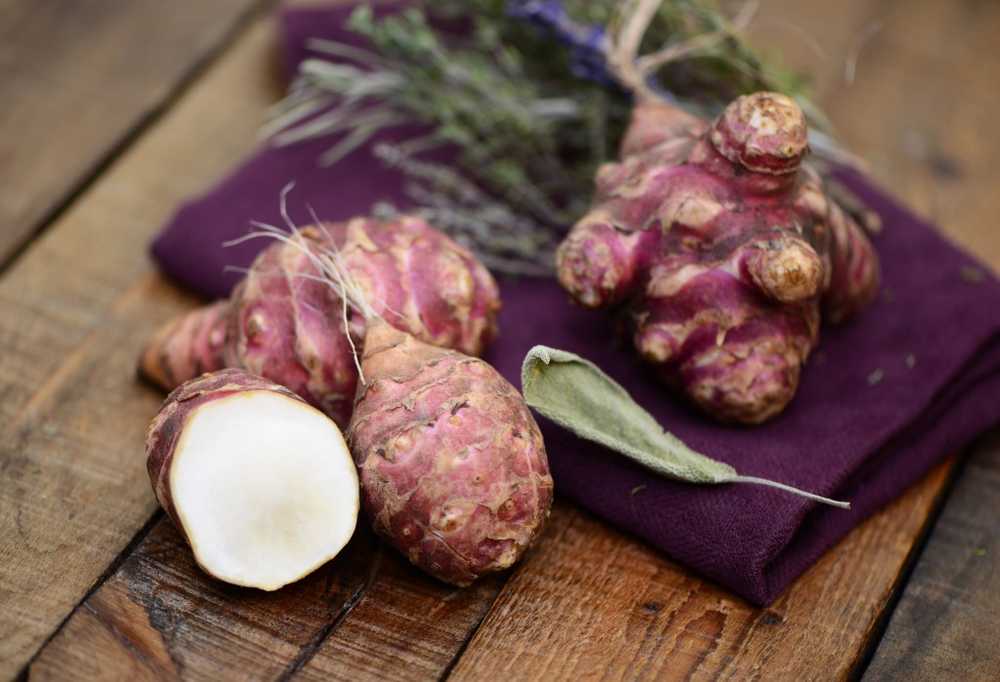 Low calorie tuber Jerusalem artichoke is well suited for diabetics / Health News