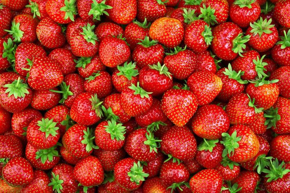 Colonias de gérmenes Nunca consumas fresas con moretones oscuros / Noticias de salud