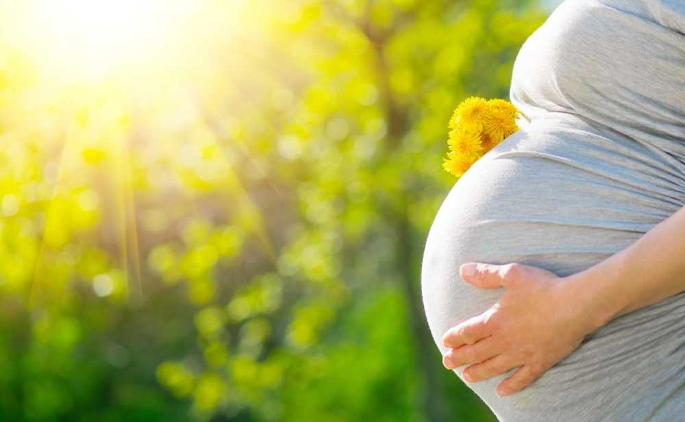 Le changement climatique peut entraîner des malformations cardiaques congénitales chez les bébés / Nouvelles sur la santé