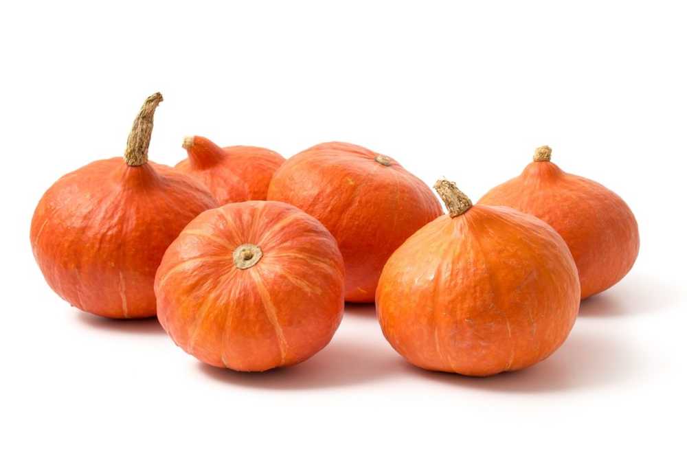 Pumpkins - ingredients, cultivation and medical use