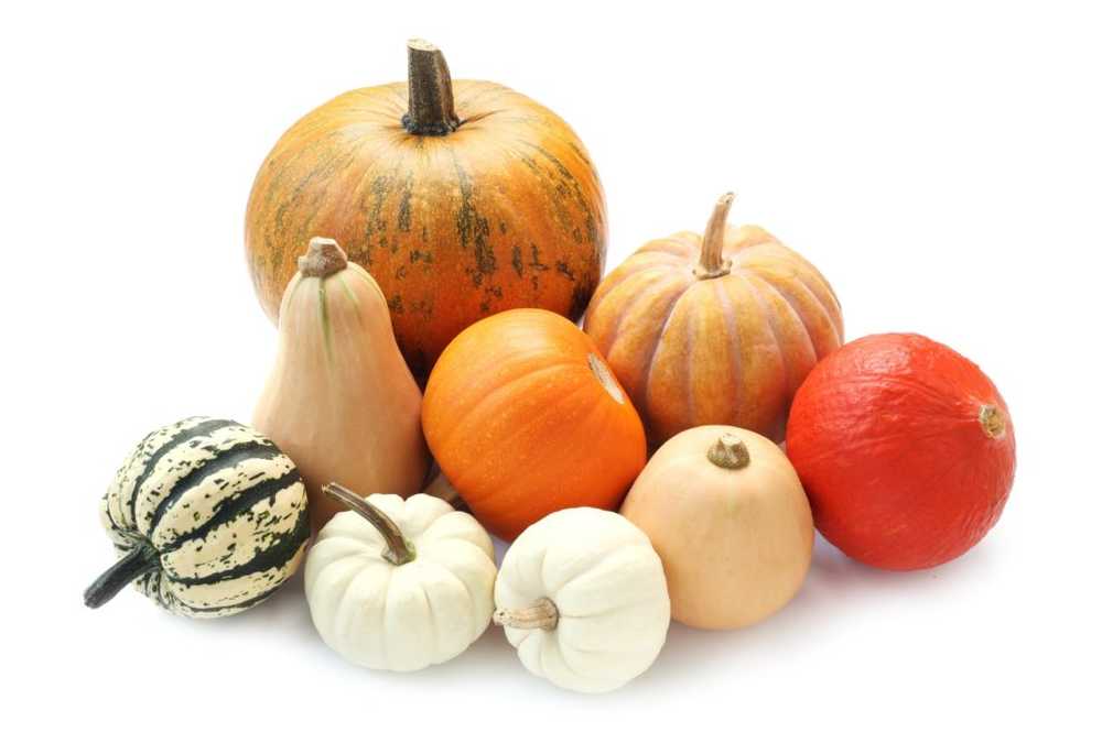 Pumpkins - pumpkin varieties and pumpkin recipes / Naturopathy