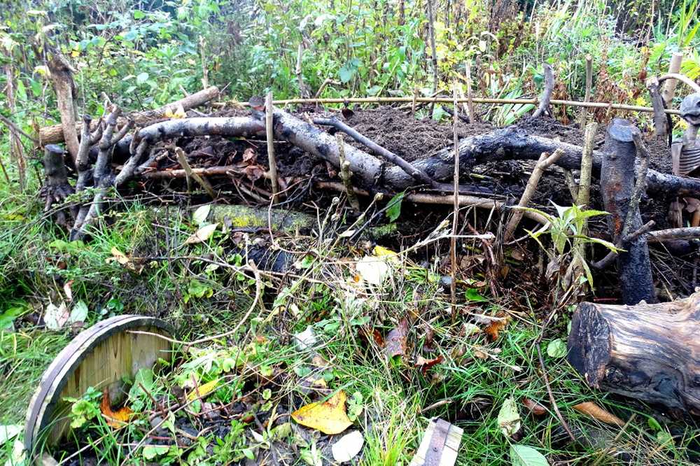 Löv- och rispinnar Guldet i den naturliga trädgården / Hälsa nyheter