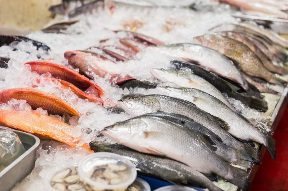 Life-prolonging Frequent fish-eating verifiably increases life expectancy / Health News