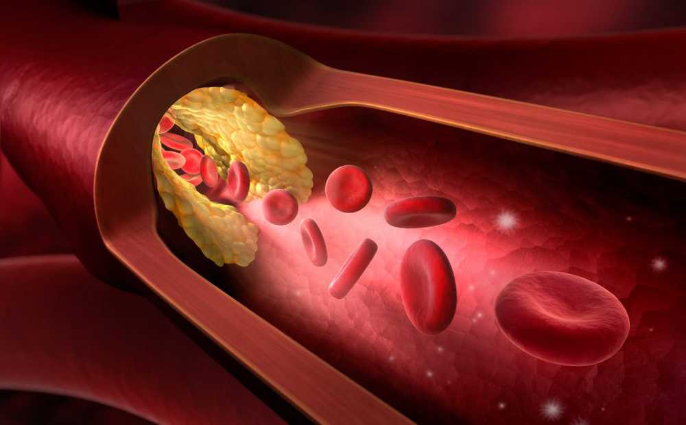 Physicians Blood vessels educate inflammatory cells and convert them into repair cells / Health News