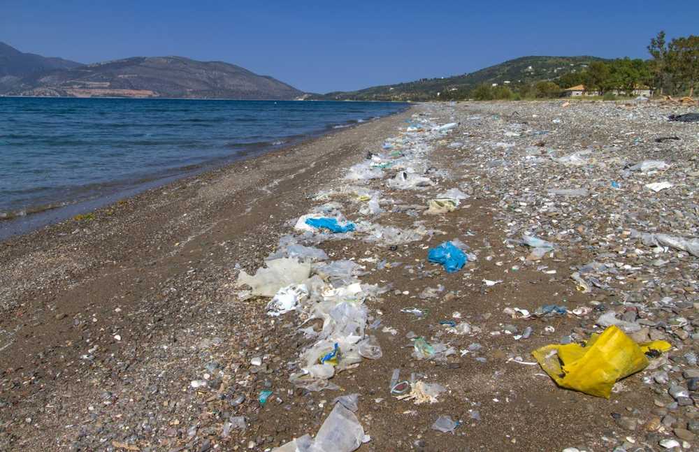 Mikroplastik i havet Studier förfalskades delvis av labbrockmaterial / Hälsa nyheter