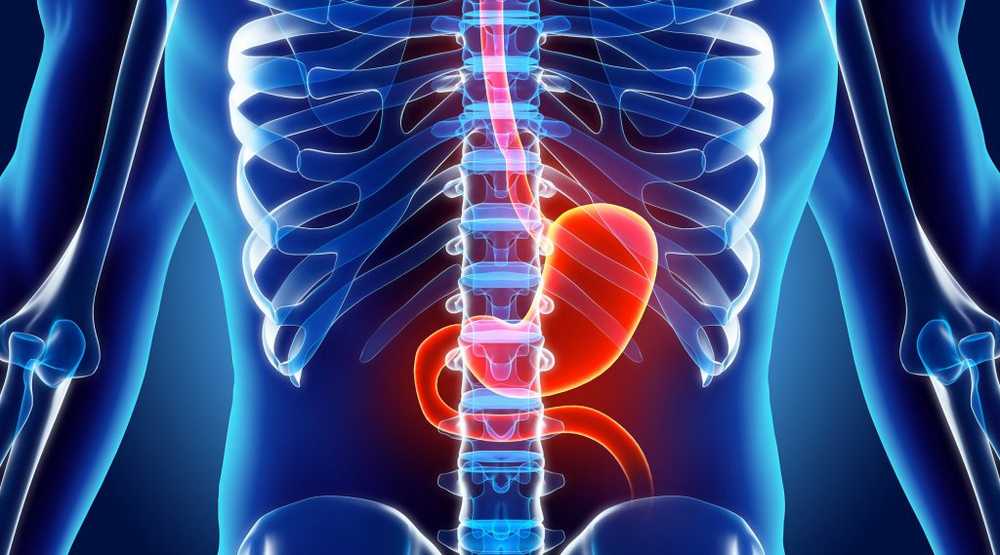 Mini-capsules transport therapeutic gas in the stomach and intestines / Health News