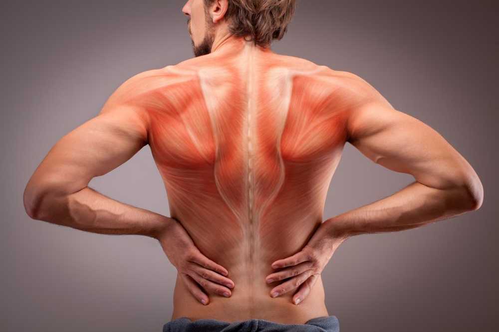 Muscle Pain - Causes and Treatment / symptoms