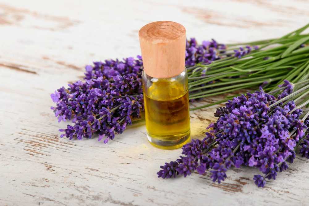 Natural sleep aid Lavender scent instead of harmful sleeping pills / Health News