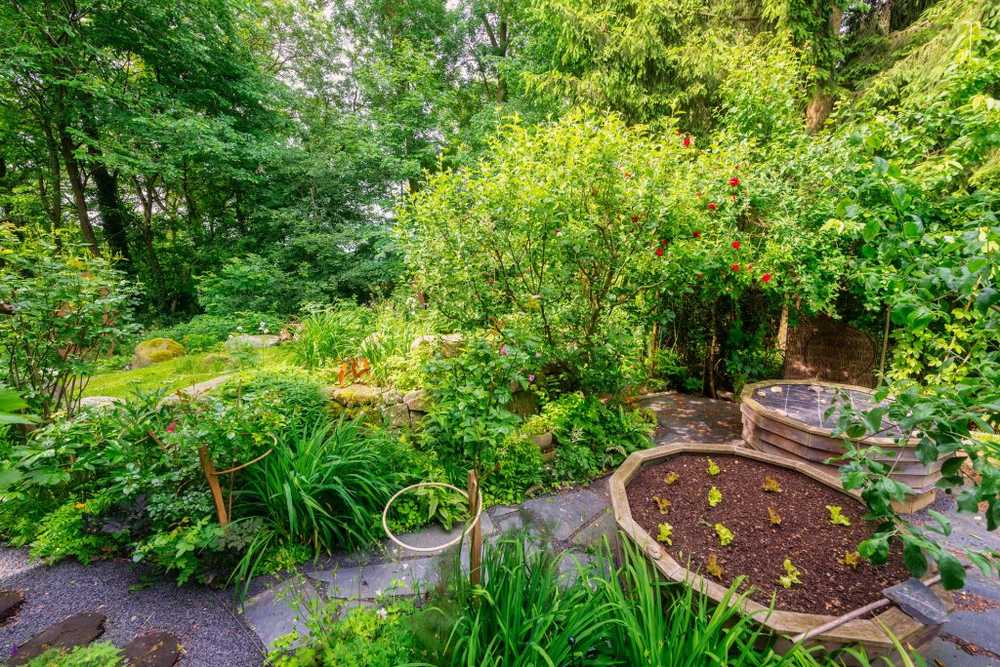 Create nature garden yourself Planning, design and plants