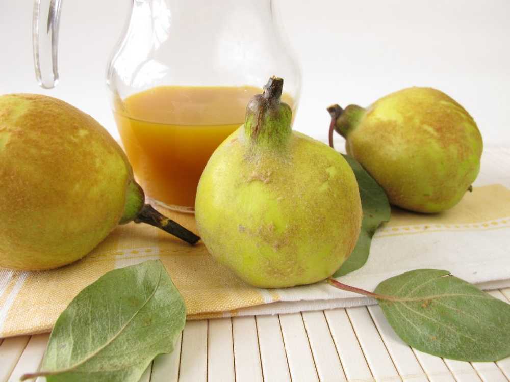 Naturopathy quince syrup helps with pregnancy sickness / Health News