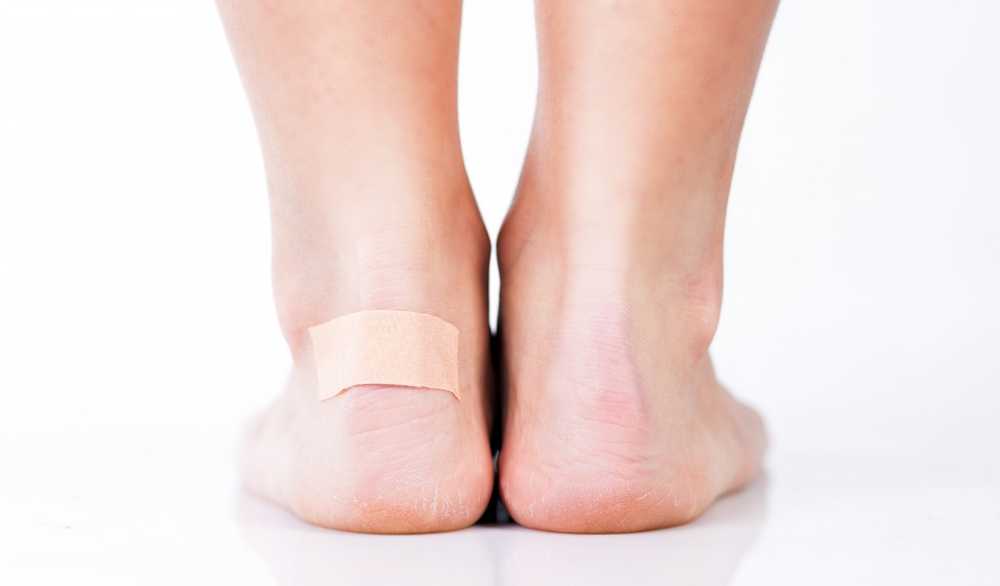 Nerve cells of the skin help to heal wounds / Health News