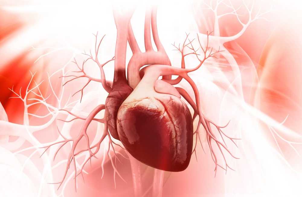 La prueba recientemente desarrollada reconoce los ataques cardiacos inminentes con mucha anticipación / Noticias de salud