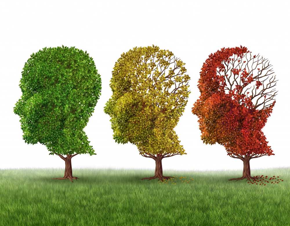 New drug could cure Alzheimer's disease / Health News