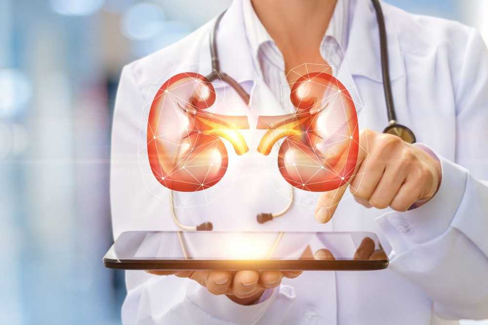 Kidney congestion - causes and therapy
