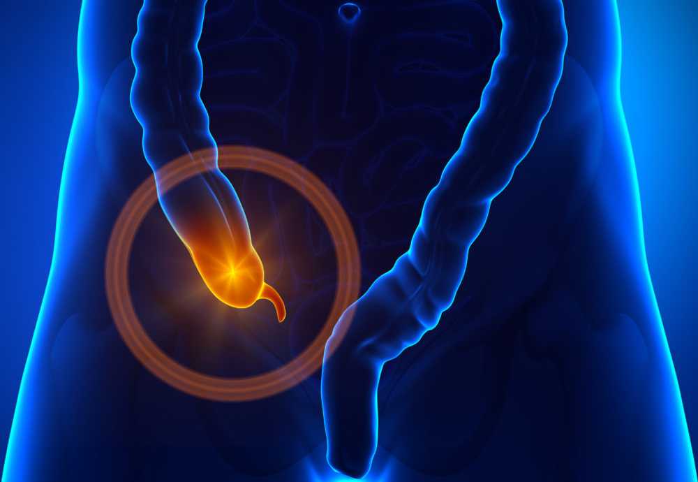 Without an appendix no Parkinson? Worm appendage identified as trigger / Health News