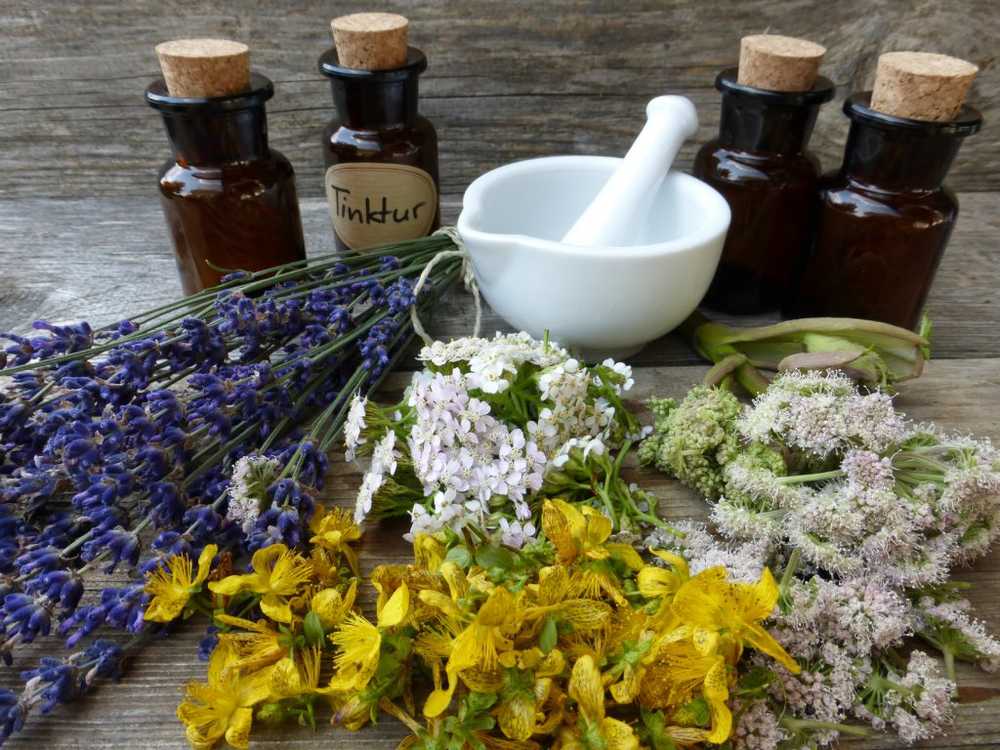 Herbal remedies kan være giftig i kombinasjon med medisiner / Helse Nyheter