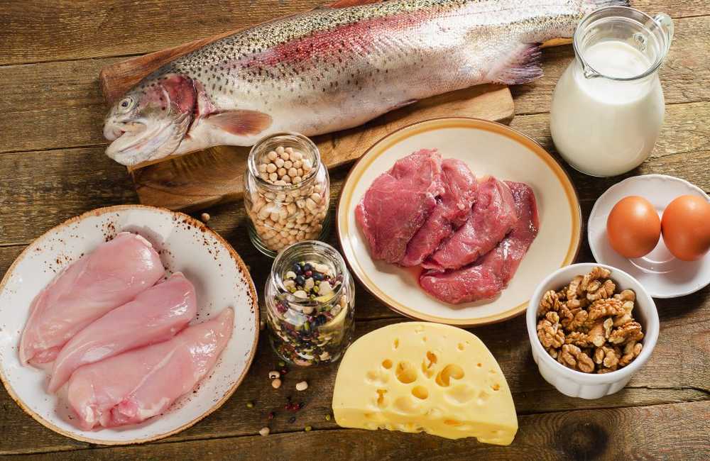 High-protein diet is especially important for the elderly / Health News