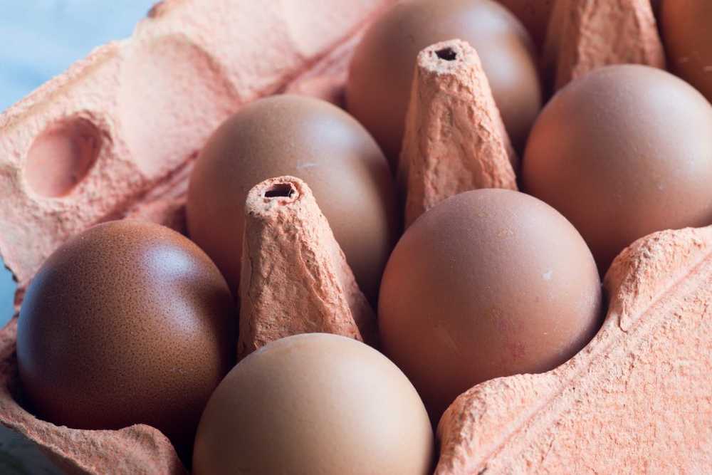 Recall at Aldi, Kaufland, Lidl, Netto, Penny Salmonella strain on organic eggs