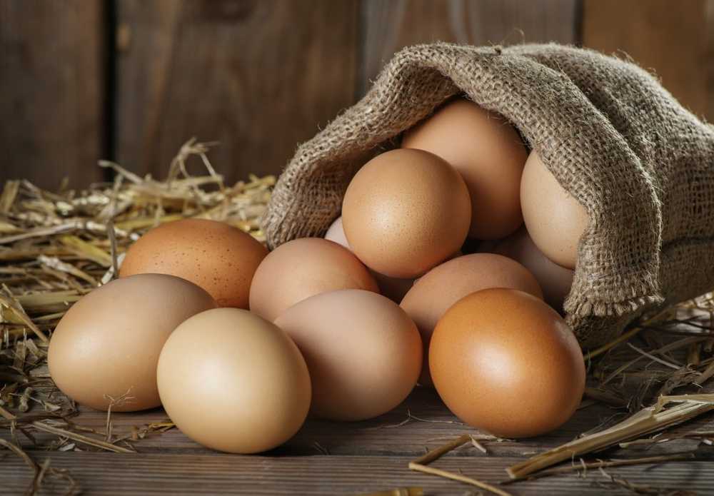 Regular egg consumption boosts growth in children and prevents growth disorders / Health News