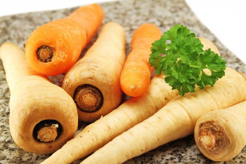 Revival winter vegetables What distinguishes parsnip and parsley root / Health News