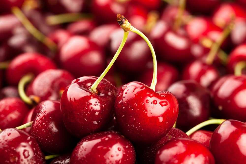 Conservation appropriée Conservez les cerises fraîches avec la tige / Nouvelles sur la santé