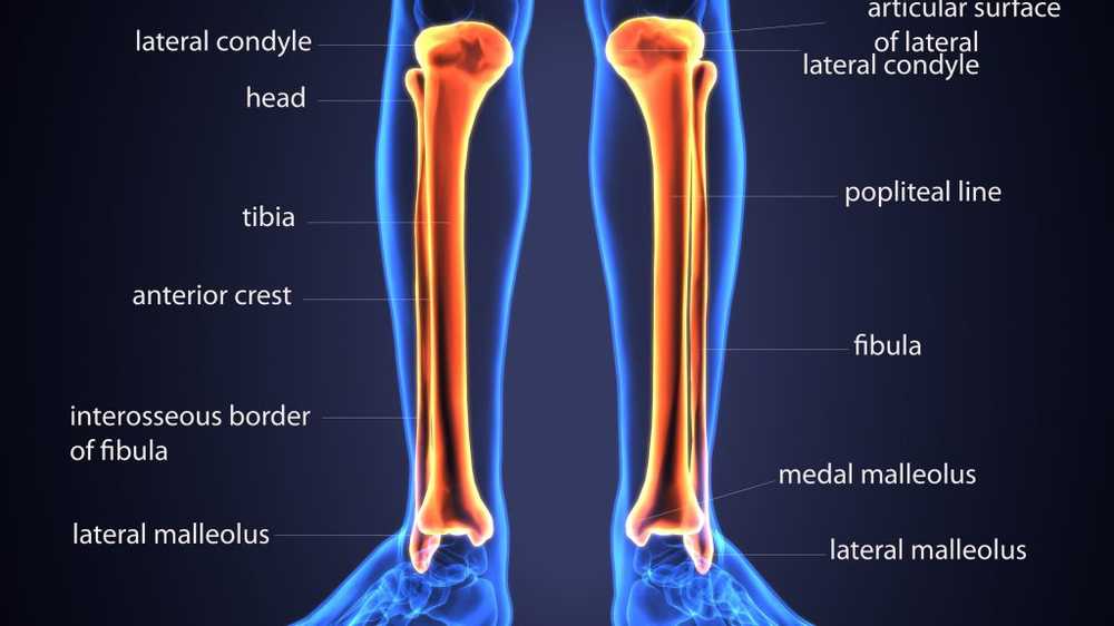 Dureri de tibie și articulații, Durerea de genunchi. Cauze si diagnostic
