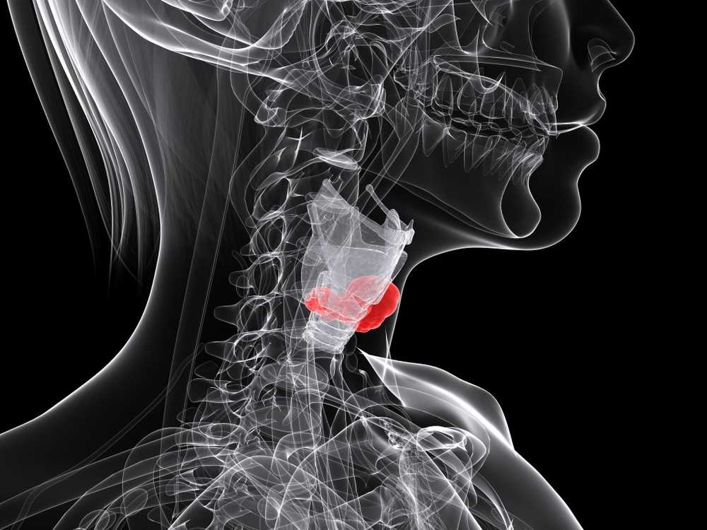 This way, you can easily reduce your laryngeal cancer risk by one-fifth / Health News