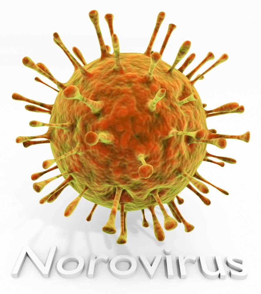 Strong vomiting by Norovirus - How to protect yourself better / Health News