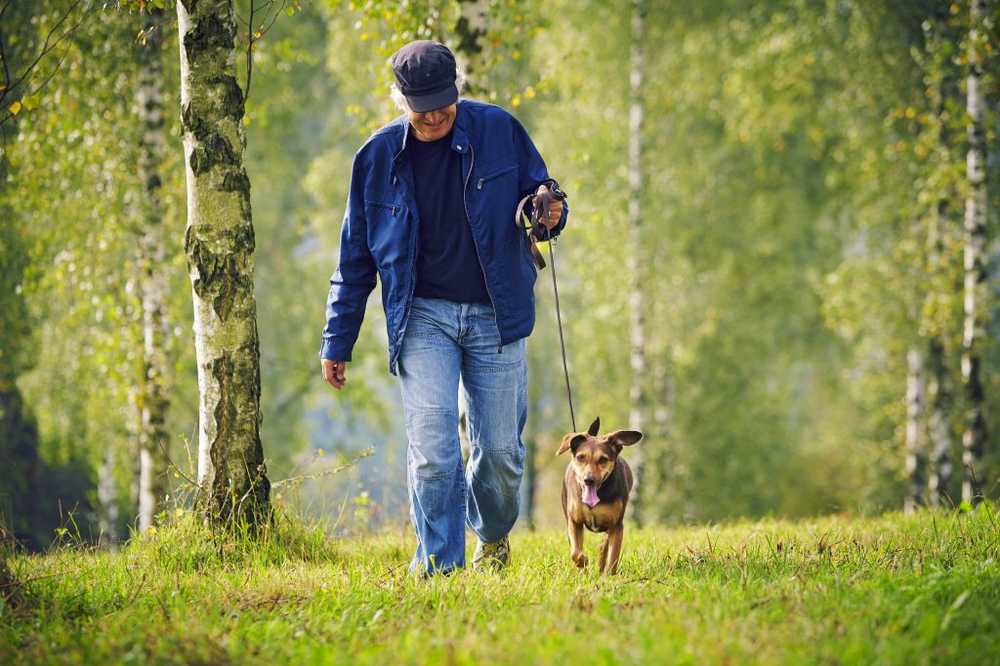 Invece di sport Fai una passeggiata veloce e salutare ogni giorno / Notizie di salute