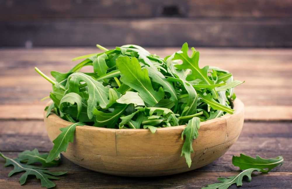 Stiftung Warentester Almost all arugula salads contain too many harmful nitrates