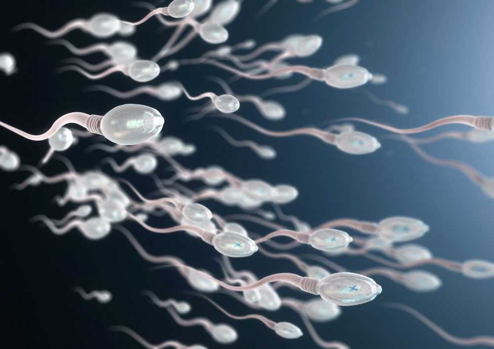 Substance in human sperm inhibits certain viruses