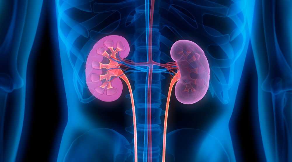 Study antibiotics increasingly cause kidney stones / Health News