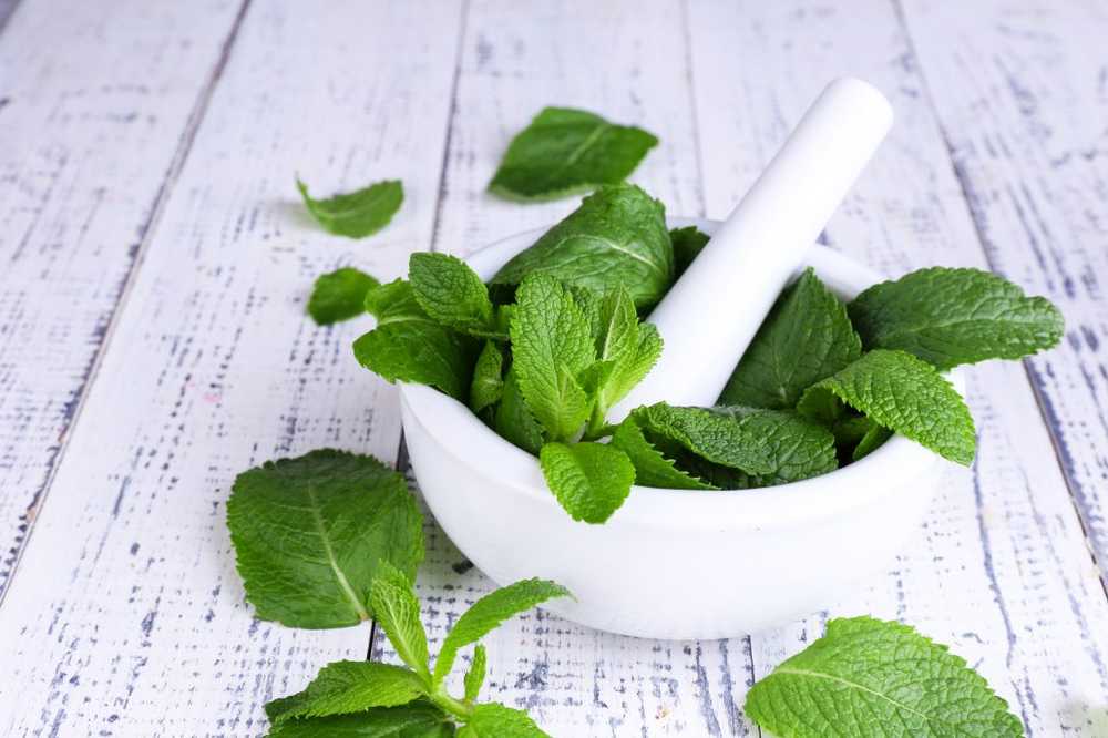 Studies on mucositis Natural chamomile extract and peppermint oil can help alleviate this / Health News