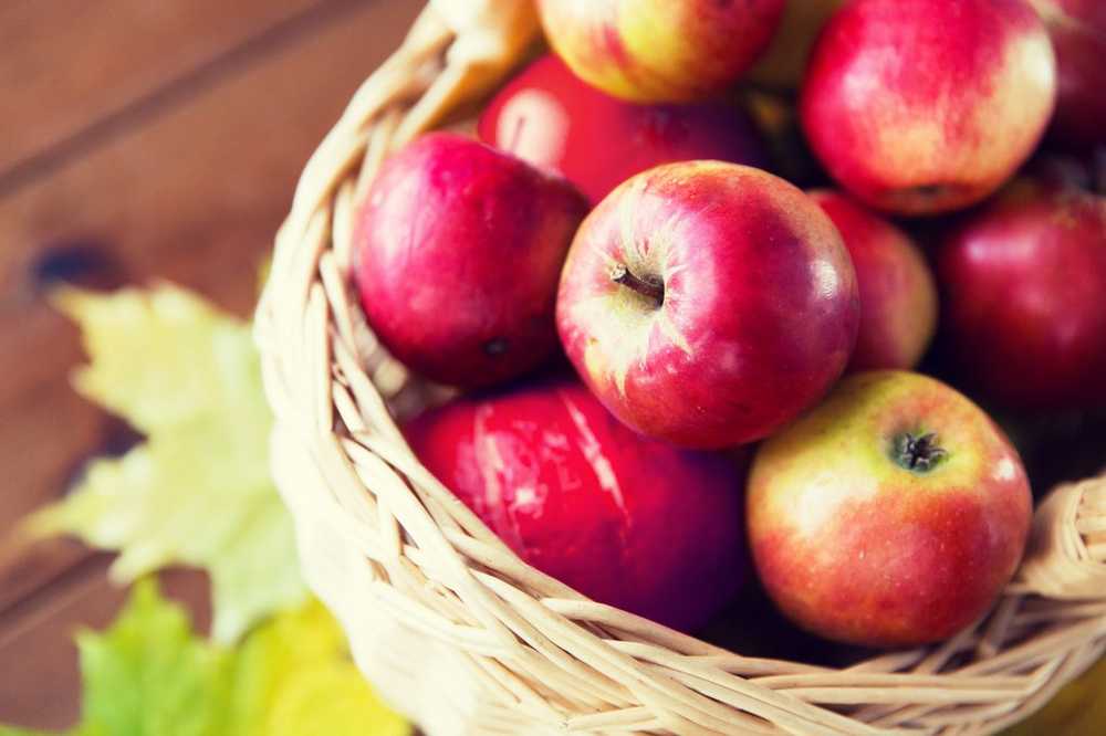 Jour de la pomme Manger une pomme par jour chasse le médecin / Nouvelles sur la santé