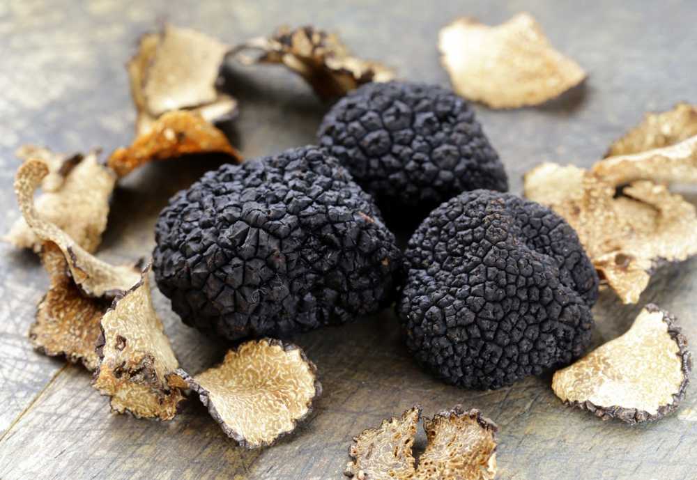 Les testeurs d'huile de truffe contiennent rarement de vraies truffes / Nouvelles sur la santé