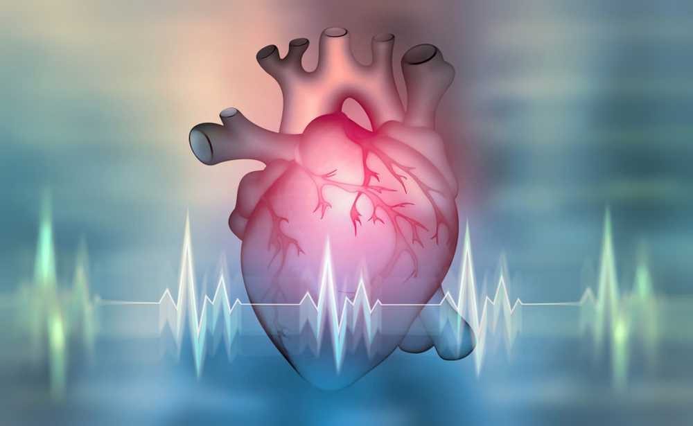 Therapy for cardiac arrhythmias successful for the first time / Health News